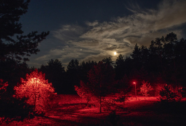 Licht op natuur veldlocatie