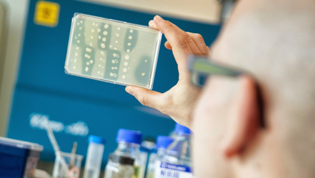 researcher viewing a sample